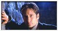 Fox Mulder